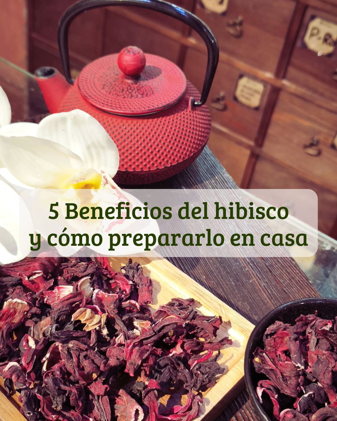 entrada blog beneficios del hibisco
